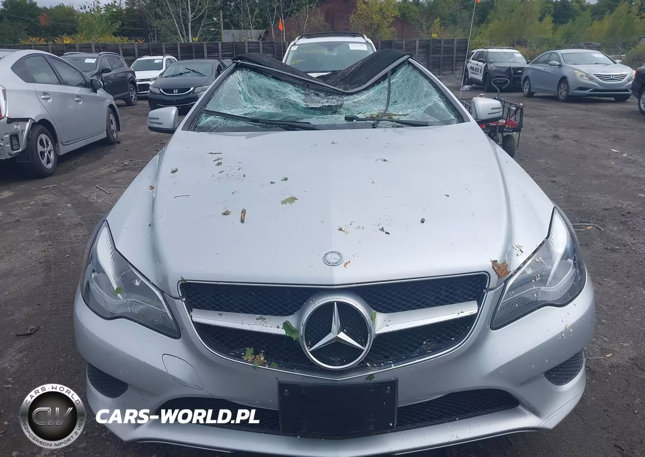 2014 Mercedes-Benz E 350 VIN:WDDKK5KF8EF234494 - 12