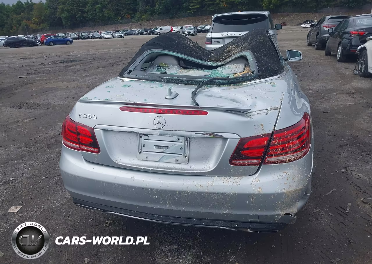 2014 Mercedes-Benz E 350 VIN:WDDKK5KF8EF234494 - 16