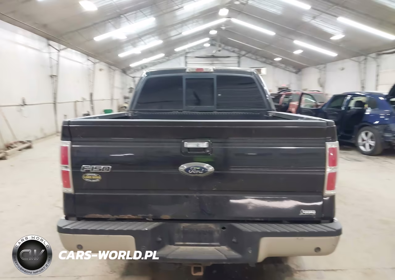 2010 Ford F-150 Lariat VIN:1FTFW1CVXAFC14532 - 16