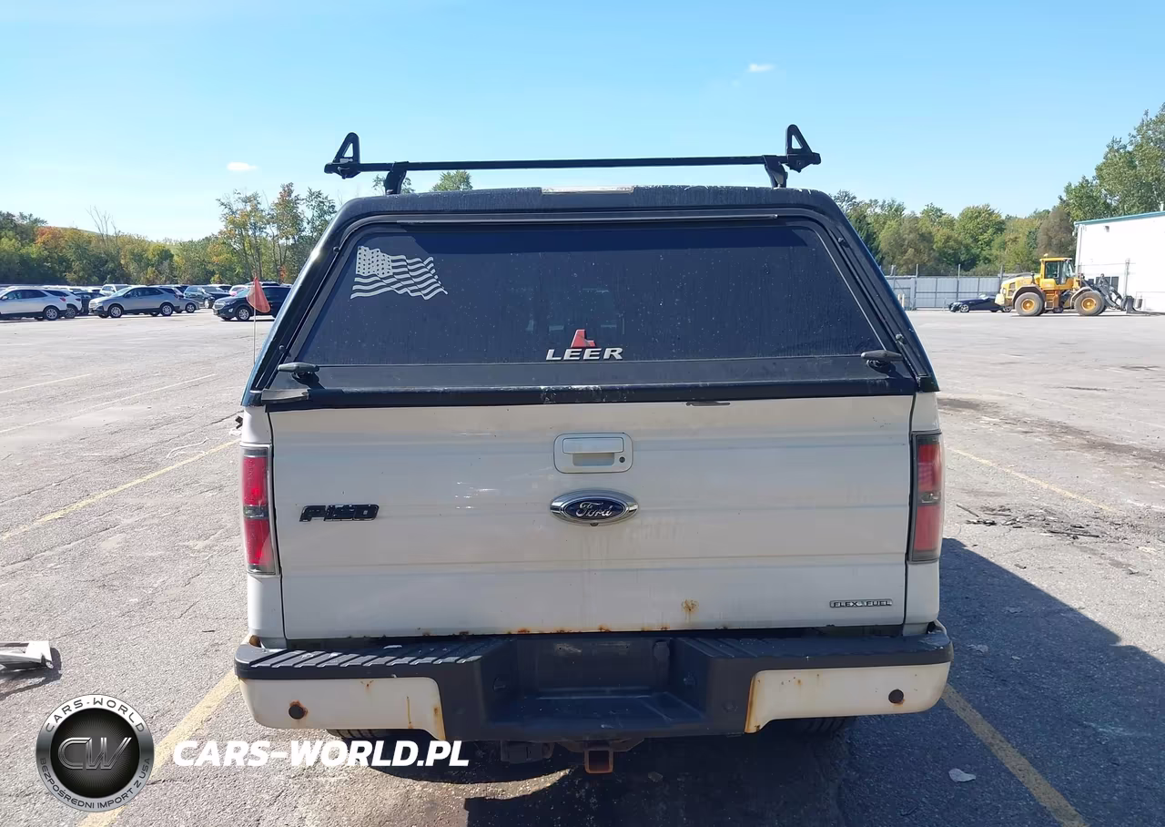 2013 Ford F-150 Fx4 VIN:1FTFW1EFXDFA55523 - 17