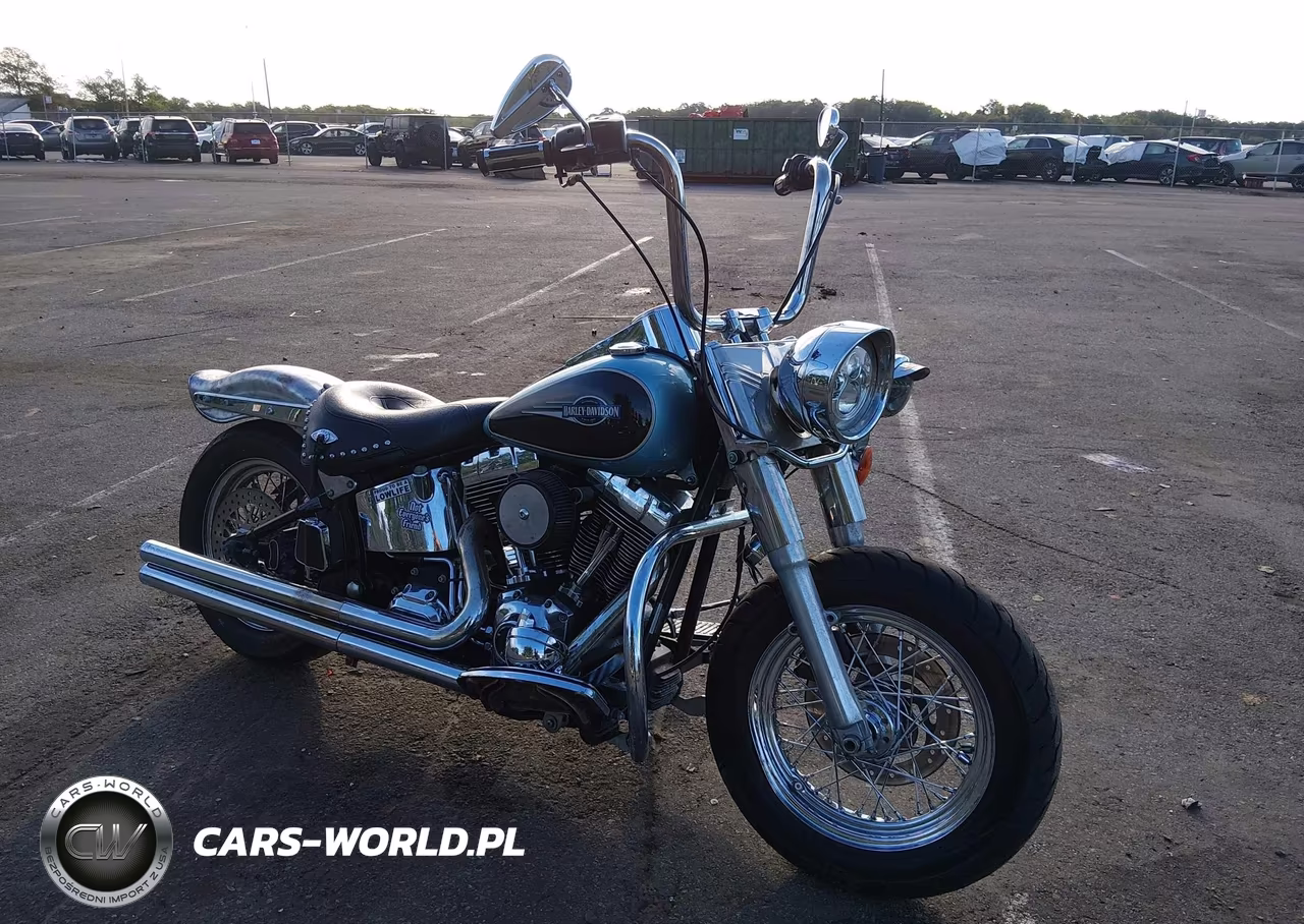2007 Harley-Davidson Flstc