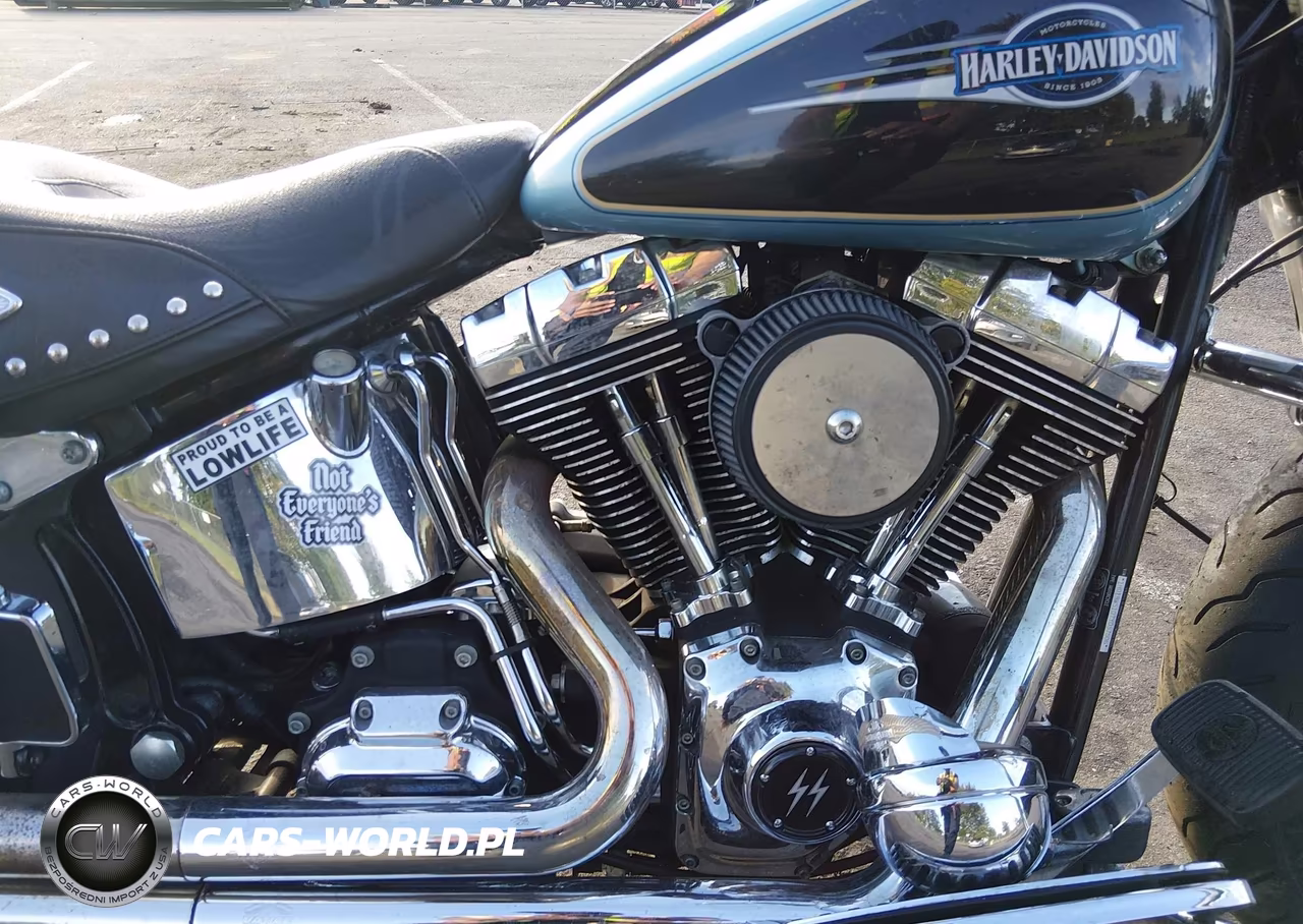 2007 Harley-Davidson Flstc VIN:1HD1BW5107Y057506 - 8