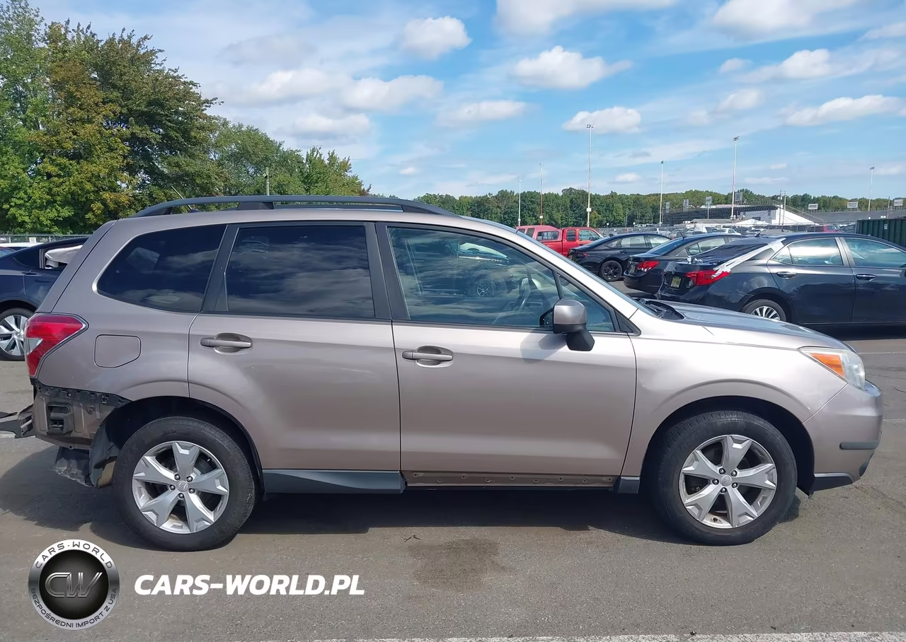 2014 Subaru Forester 2.5I Premium VIN:JF2SJAEC9EH467765 - 13