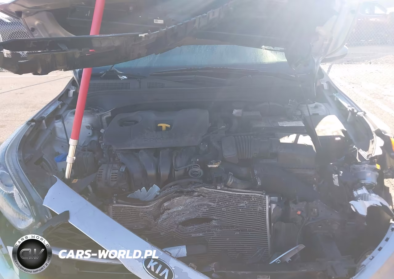 2019 Kia Forte Lxs VIN:3KPF24AD5KE061495 - 10