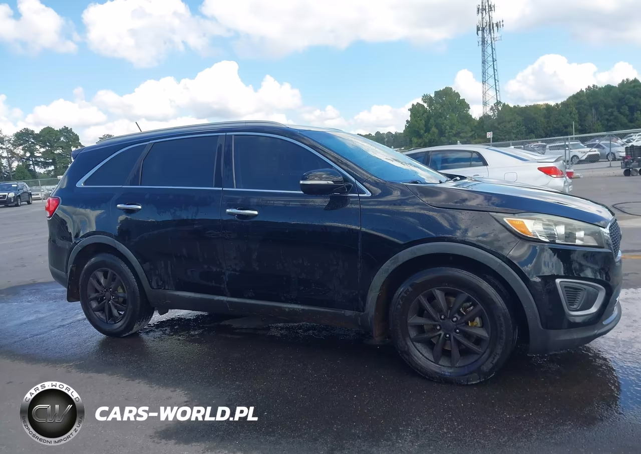 2017 Kia Sorento 3.3L Lx VIN:5XYPG4A50HG200958 - 13