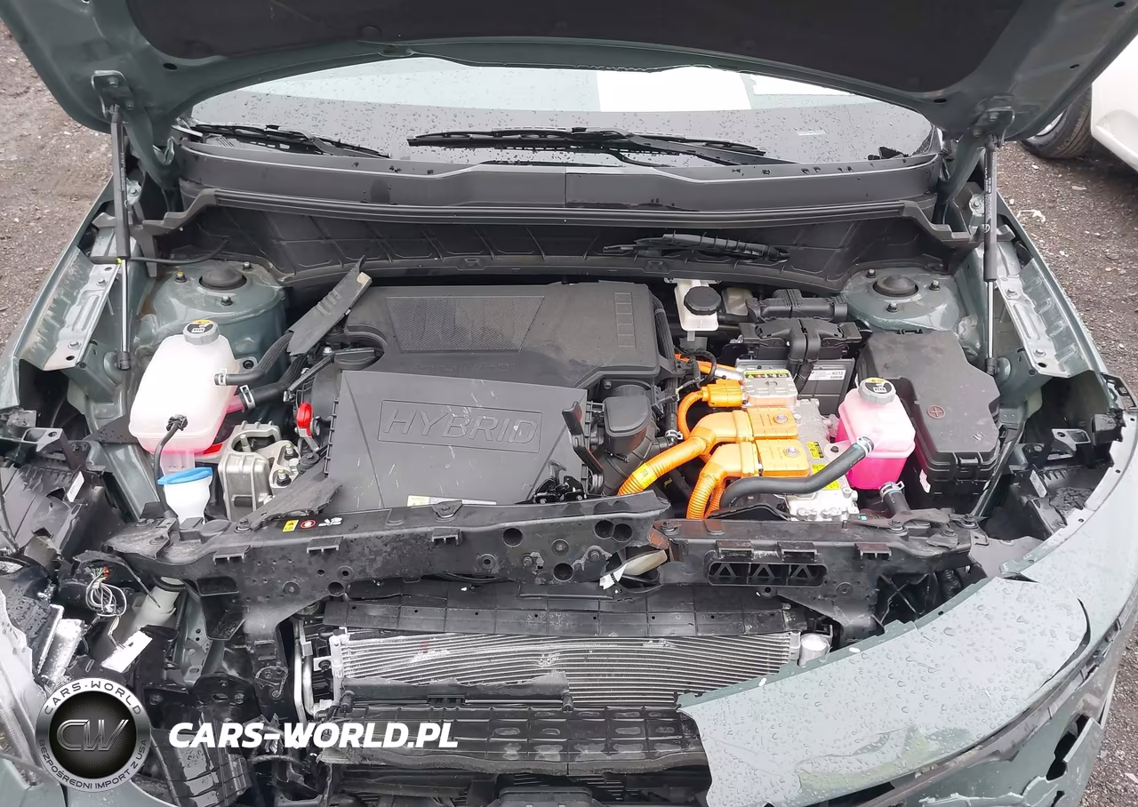 2025 Kia Niro Ex VIN:KNDCR3LE0S5261095 - 10