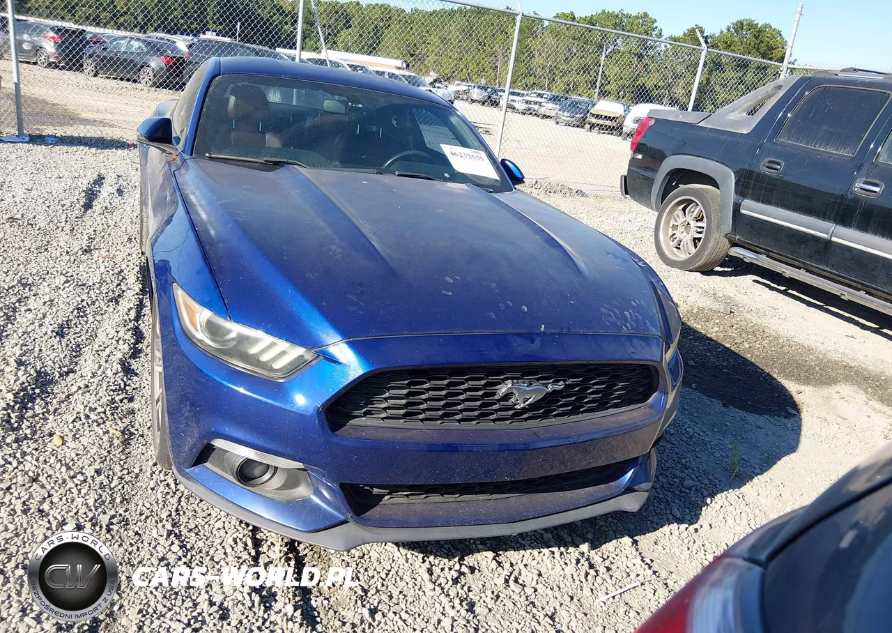 2015 Ford Mustang Ecoboost VIN:1FA6P8TH4F5312068 - 12