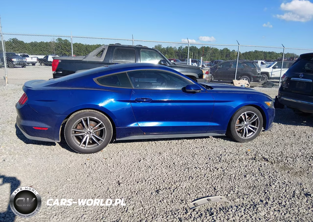 2015 Ford Mustang Ecoboost VIN:1FA6P8TH4F5312068 - 13