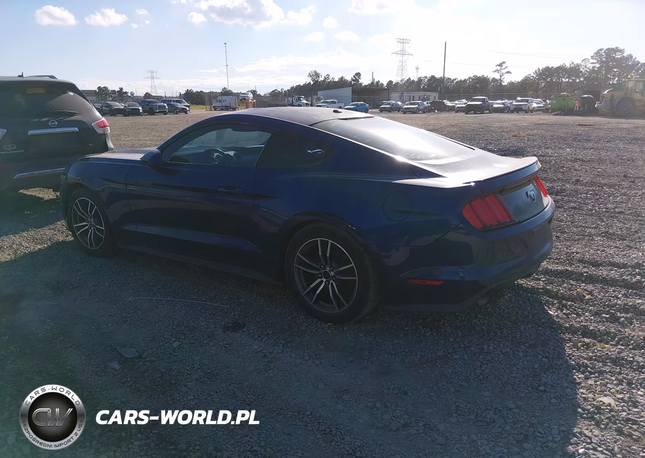 2015 Ford Mustang Ecoboost VIN:1FA6P8TH4F5312068 - 14
