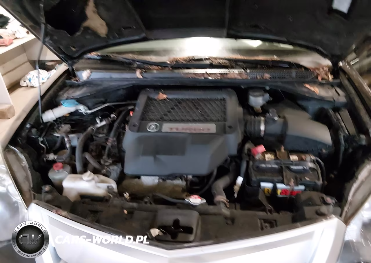 2010 Acura Rdx VIN:5J8TB1H29AA008064 - 10