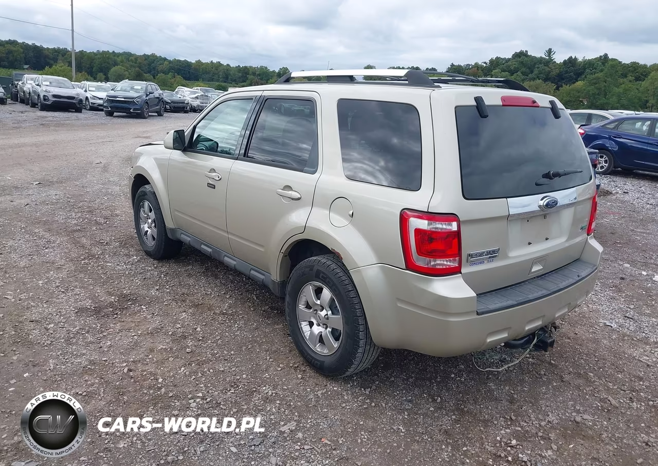 2011 Ford Escape Limited VIN:1FMCU9EG8BKB18196 - 3