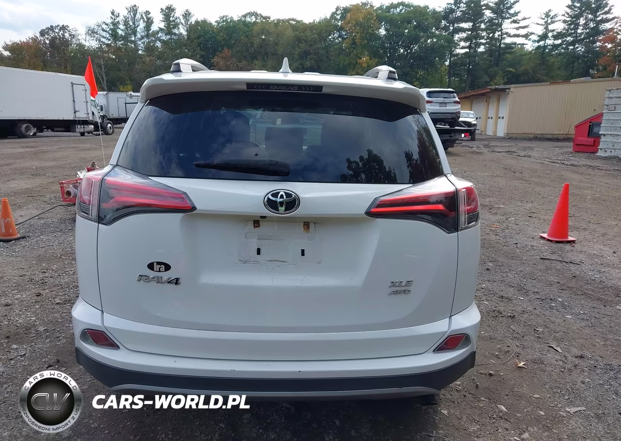 2018 Toyota Rav4 Xle VIN:2T3RFREV6JW806243 - 16