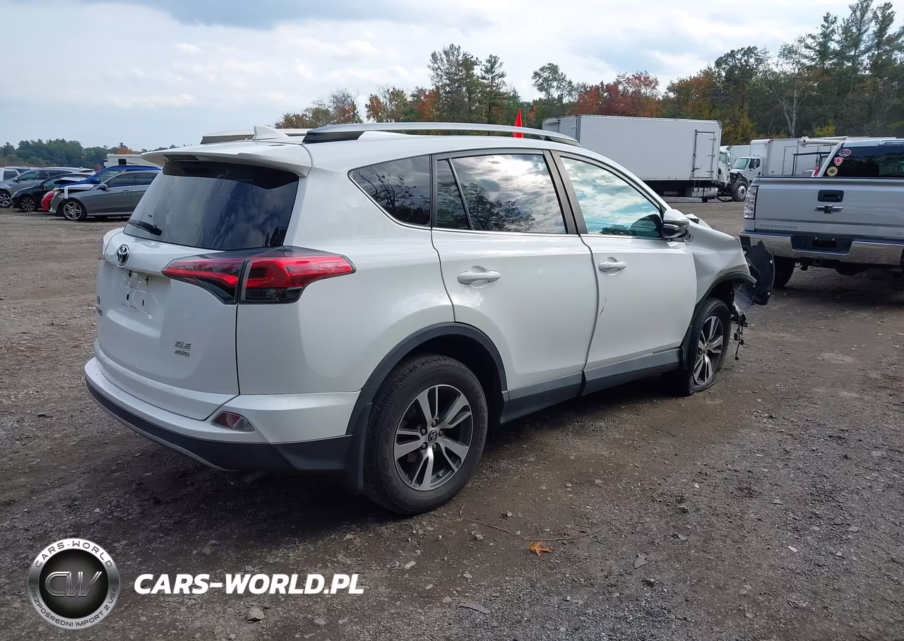 2018 Toyota Rav4 Xle VIN:2T3RFREV6JW806243 - 4