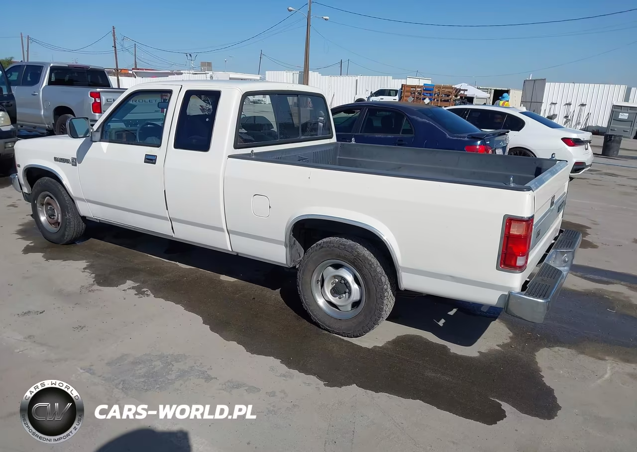 1990 Dodge Dakota VIN:1B7GL23X5LS613248 - 3
