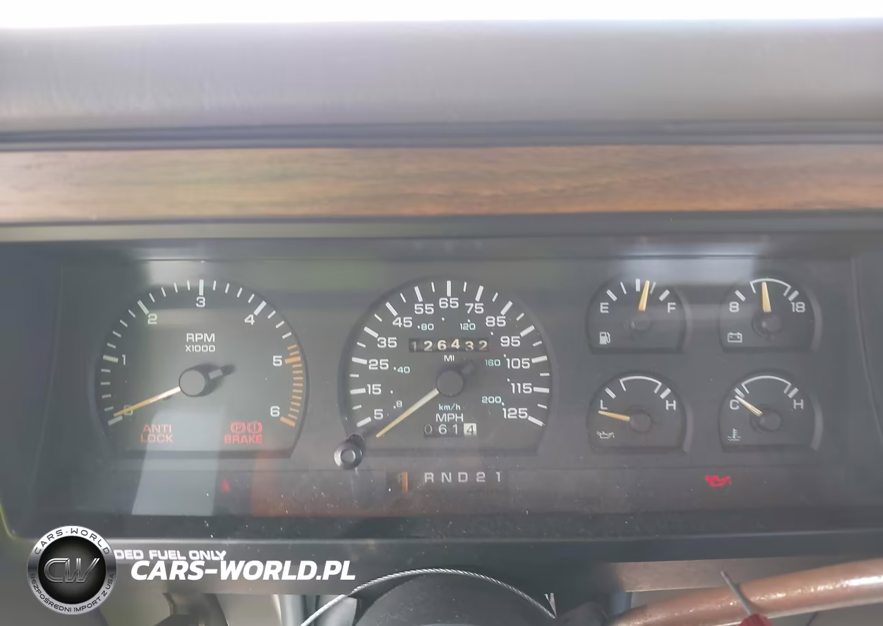 1990 Dodge Dakota VIN:1B7GL23X5LS613248 - 7
