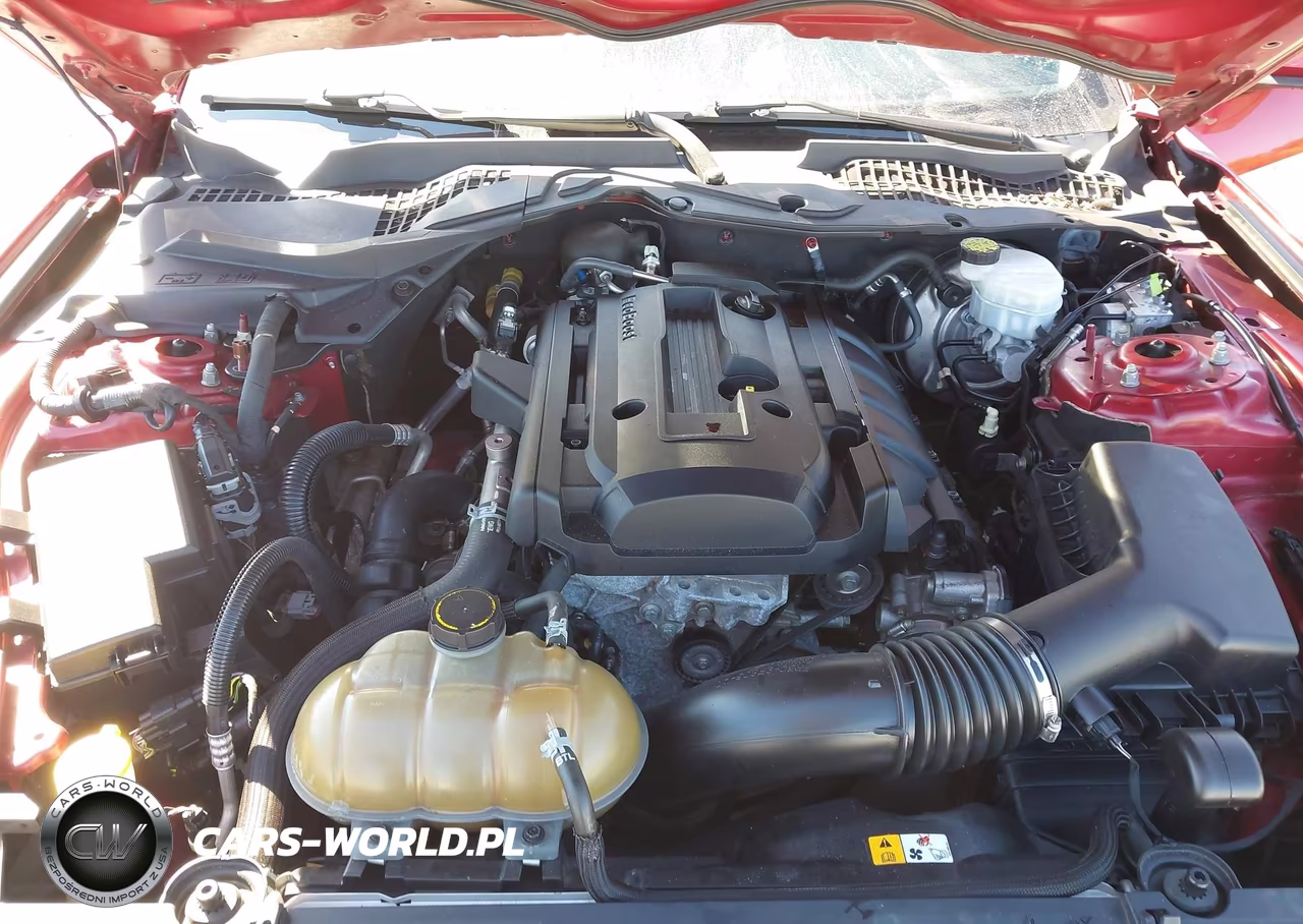 2018 Ford Mustang Ecoboost VIN:1FA6P8TH5J5116410 - 10