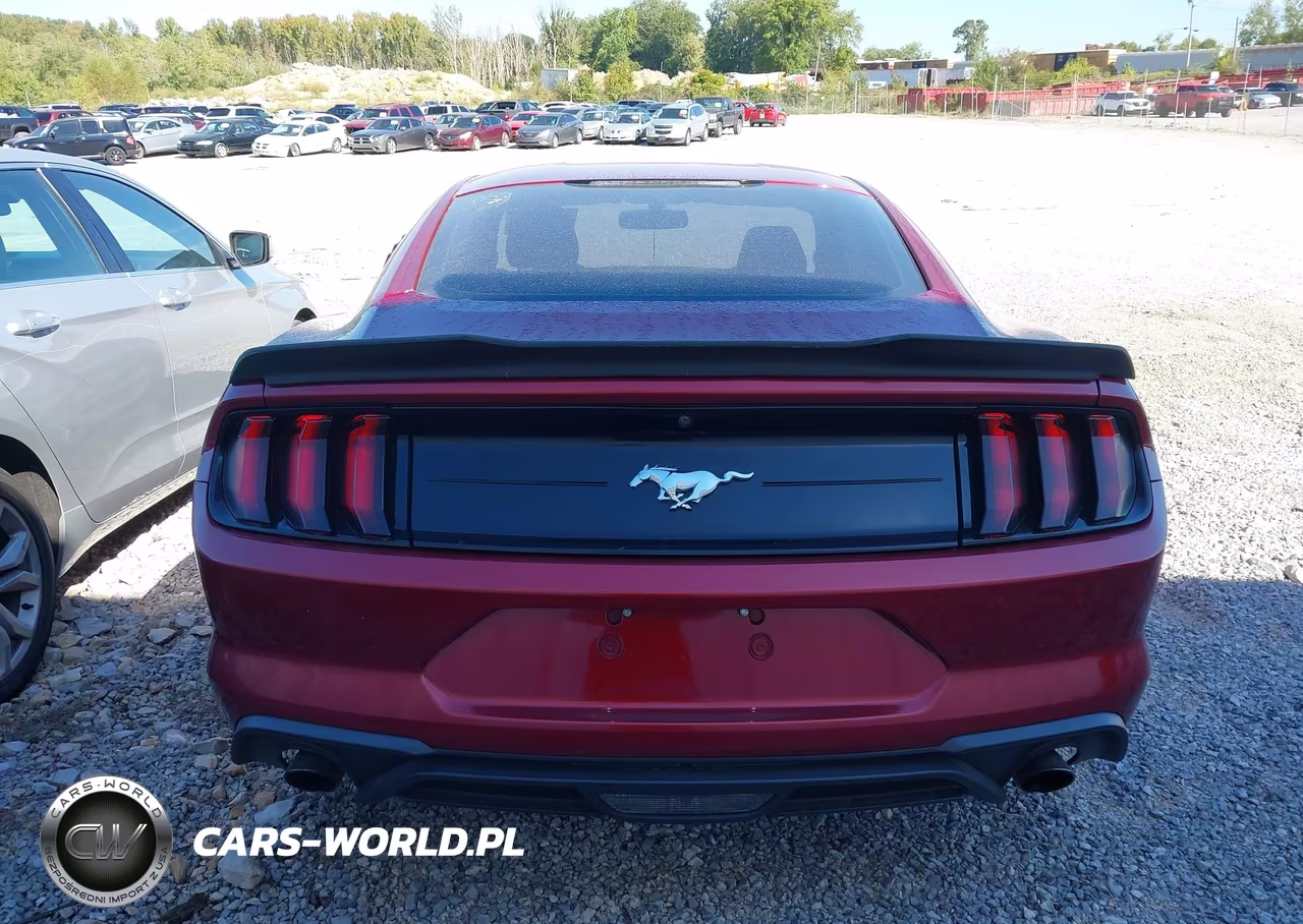 2018 Ford Mustang Ecoboost VIN:1FA6P8TH5J5116410 - 16