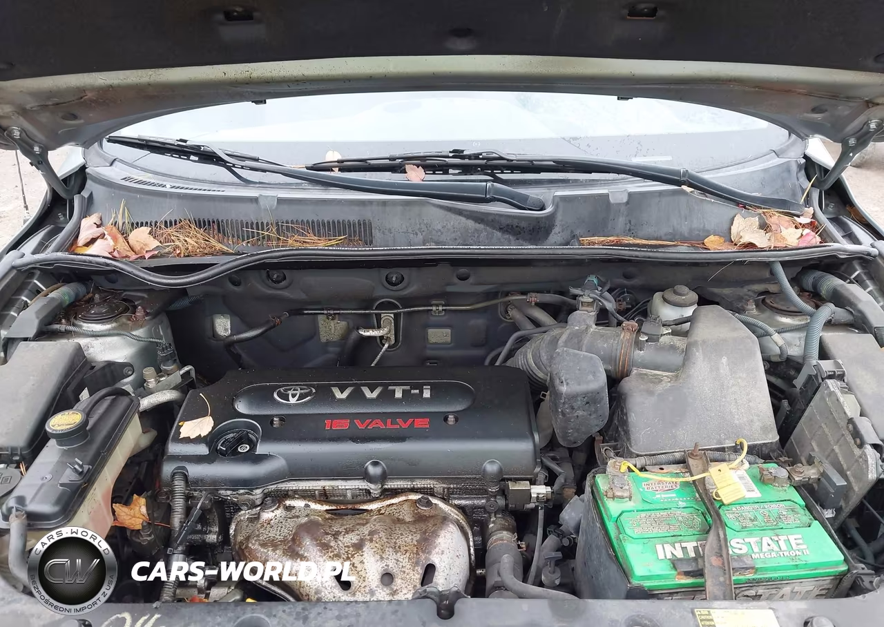 2006 Toyota Rav4 VIN:JTMBD33V165017343 - 10