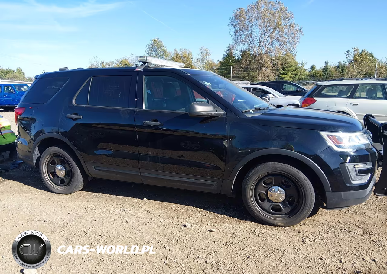 2018 Ford Police Interceptor Utility VIN:1FM5K8AR6JGC74593 - 13