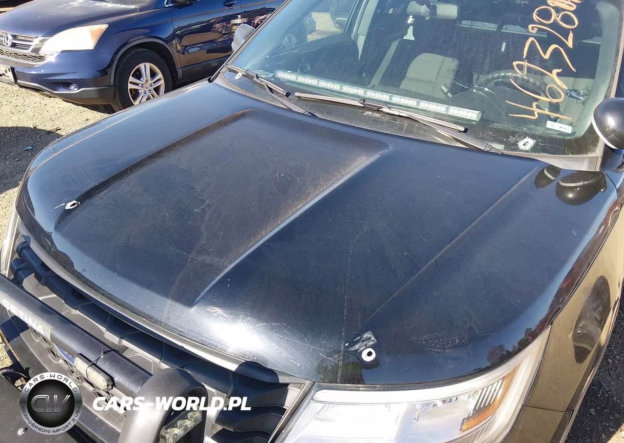 2018 Ford Police Interceptor Utility VIN:1FM5K8AR6JGC74593 - 6