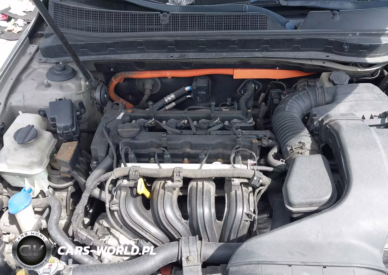 2012 Kia Optima Hybrid Ex VIN:KNAGM4AD7C5016700 - 10
