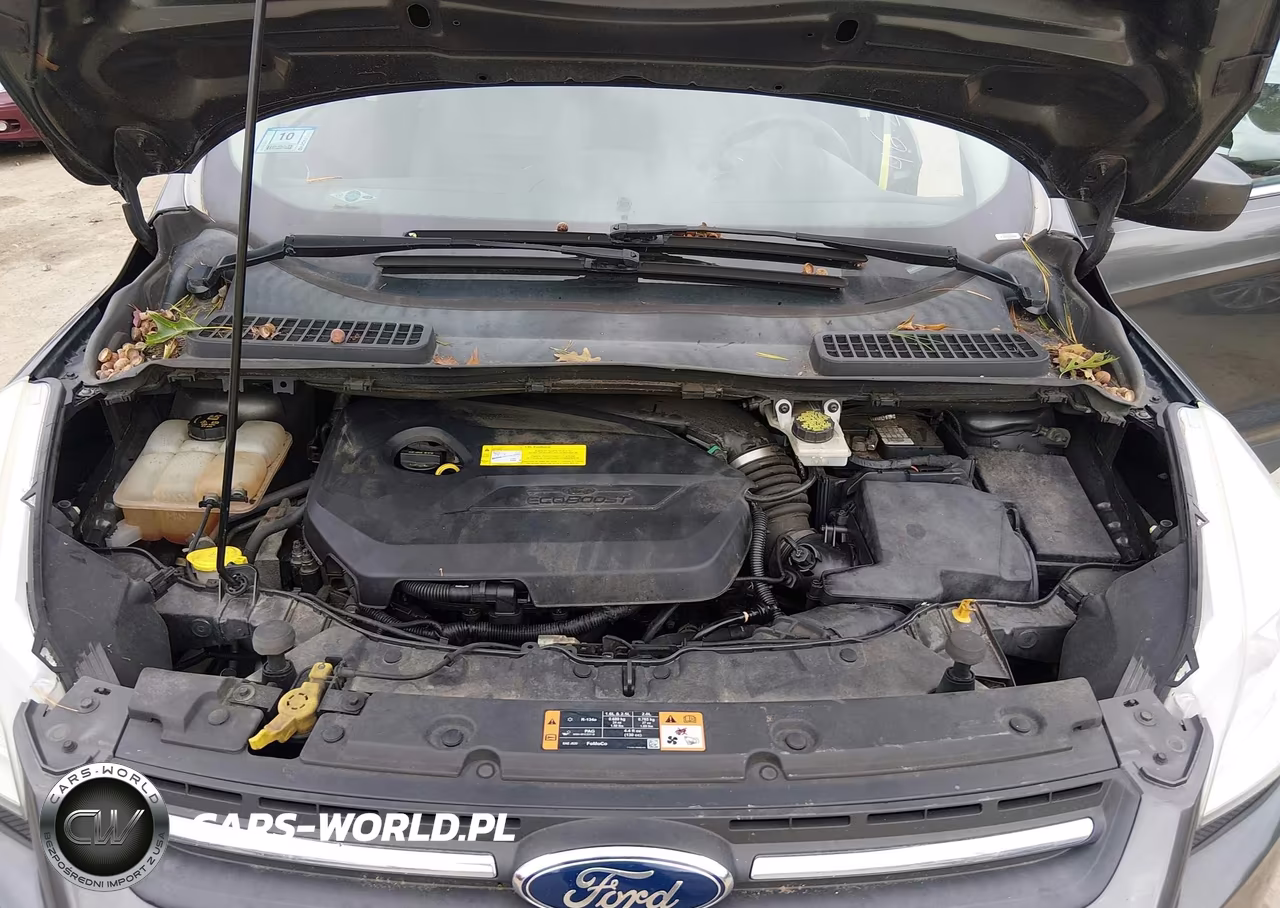 2016 Ford Escape Se VIN:1FMCU9GX7GUA47887 - 10