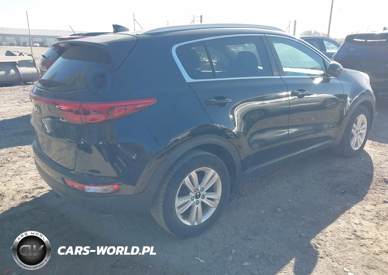 2017 Kia Sportage Lx VIN:KNDPM3AC0H7038120 - 4