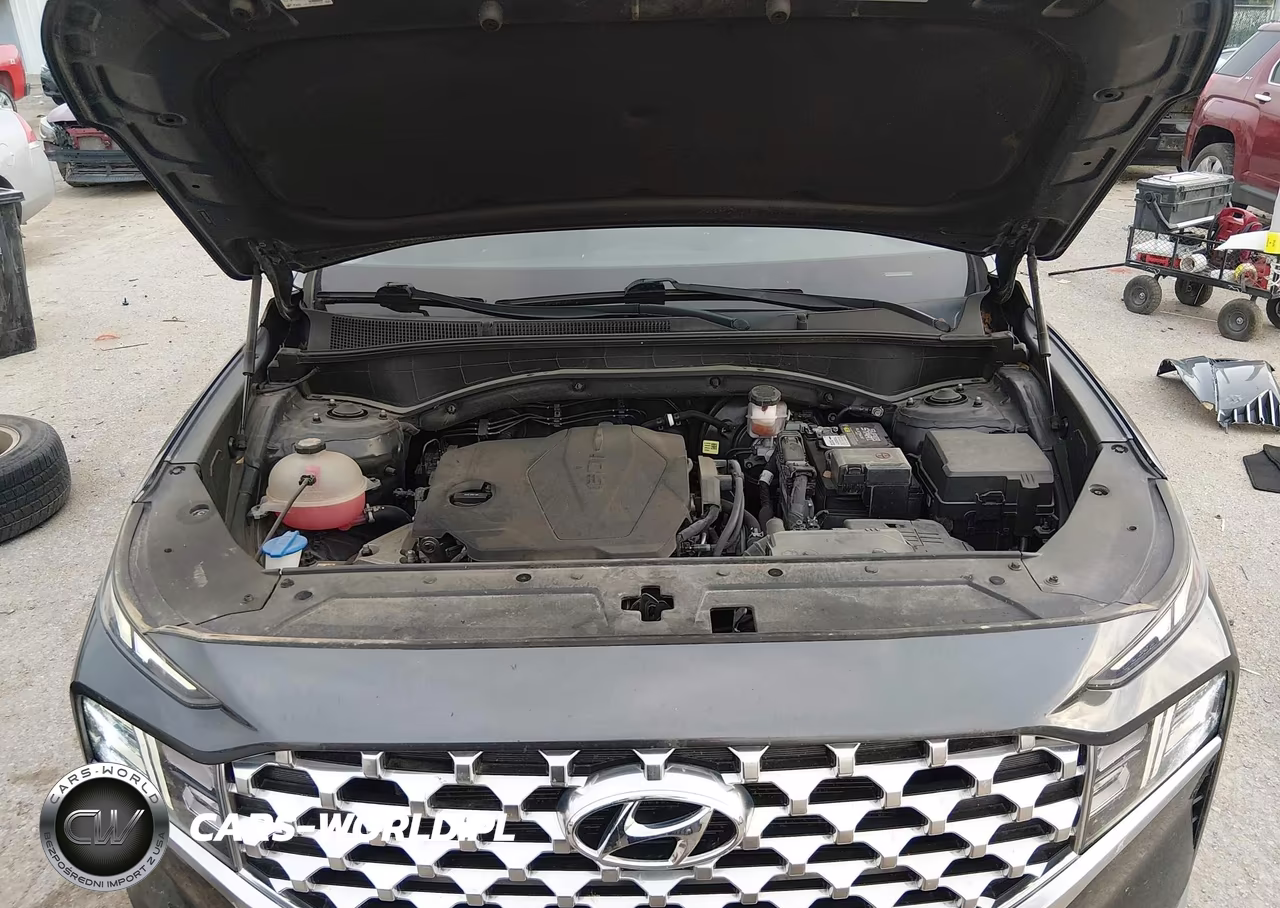 2021 Hyundai Santa Fe Sel VIN:5NMS34AJ0MH358591 - 10