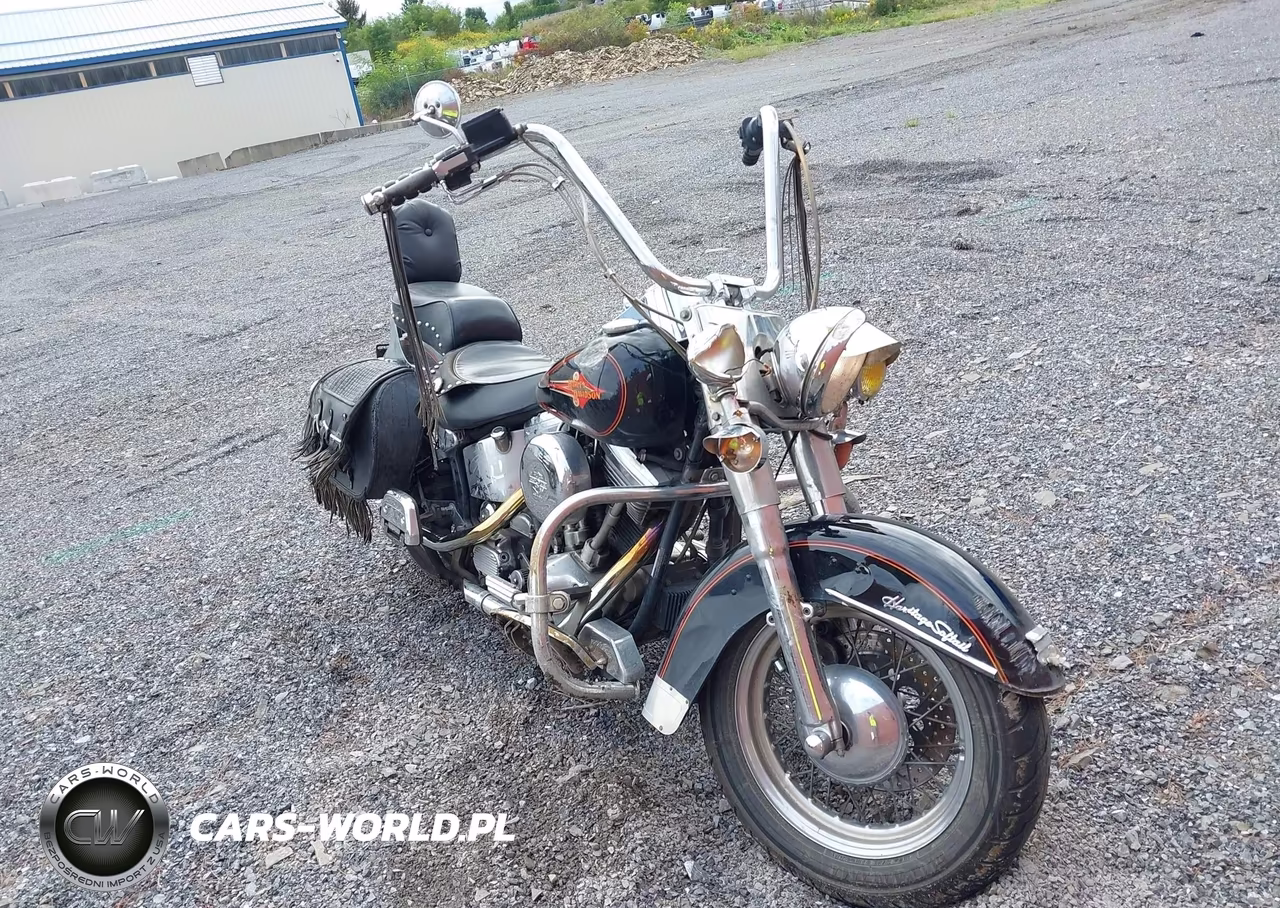 1994 Harley-Davidson Flstc VIN:1HD1BJL40RY010673 - 1