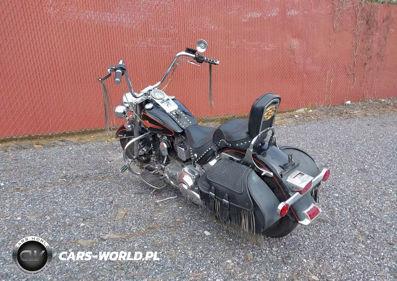 1994 Harley-Davidson Flstc VIN:1HD1BJL40RY010673 - 3