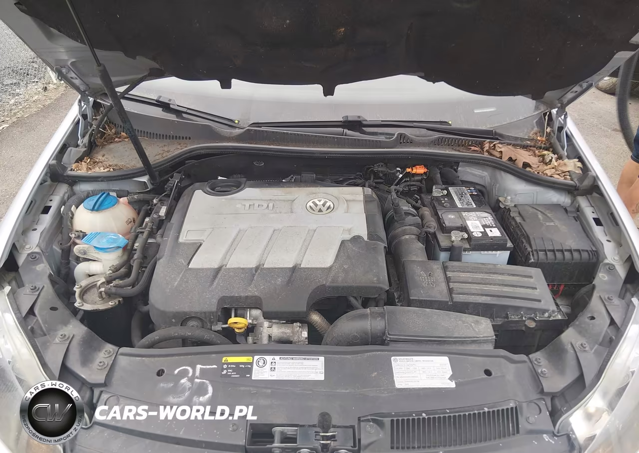 2014 Volkswagen Golf 2.0L Tdi VIN:WVWDM7AJ8EW005022 - 10