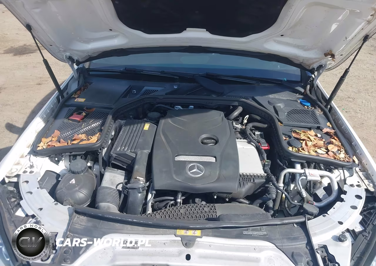 2015 Mercedes-Benz C 300 Sport 4Matic VIN:55SWF4KB6FU007896 - 10