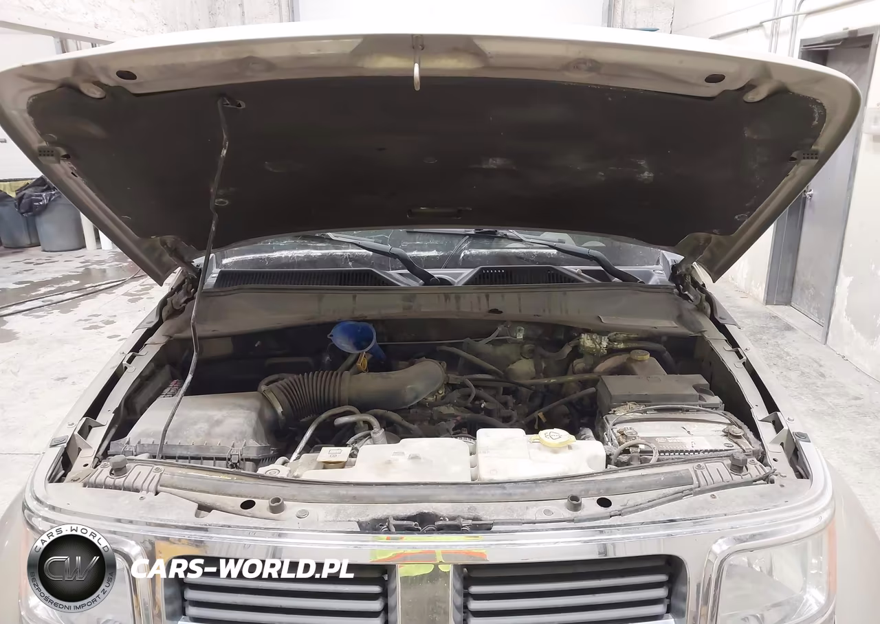 2010 Dodge Nitro Se VIN:1D4PU2GK9AW126901 - 10