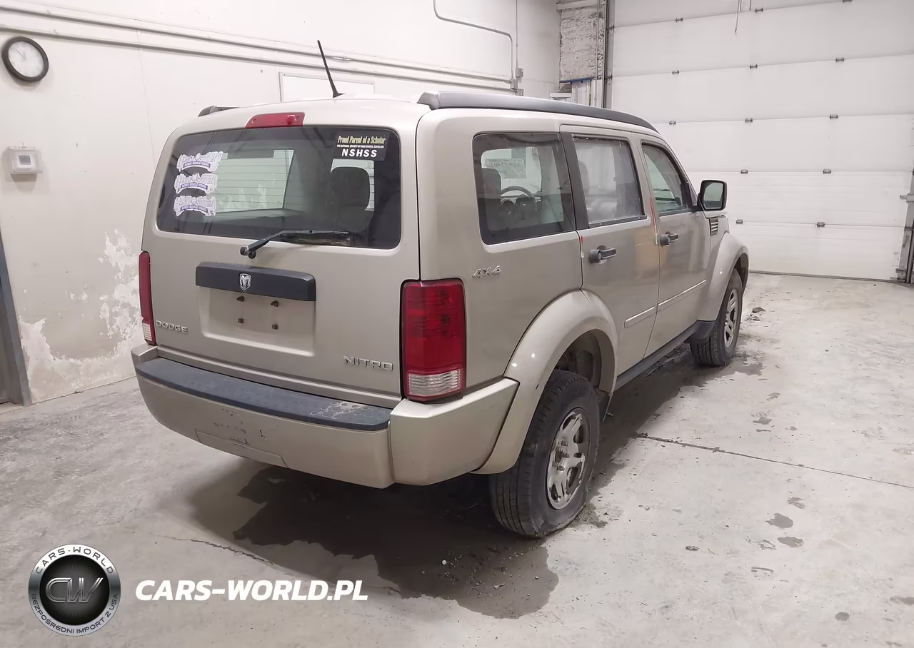 2010 Dodge Nitro Se VIN:1D4PU2GK9AW126901 - 4