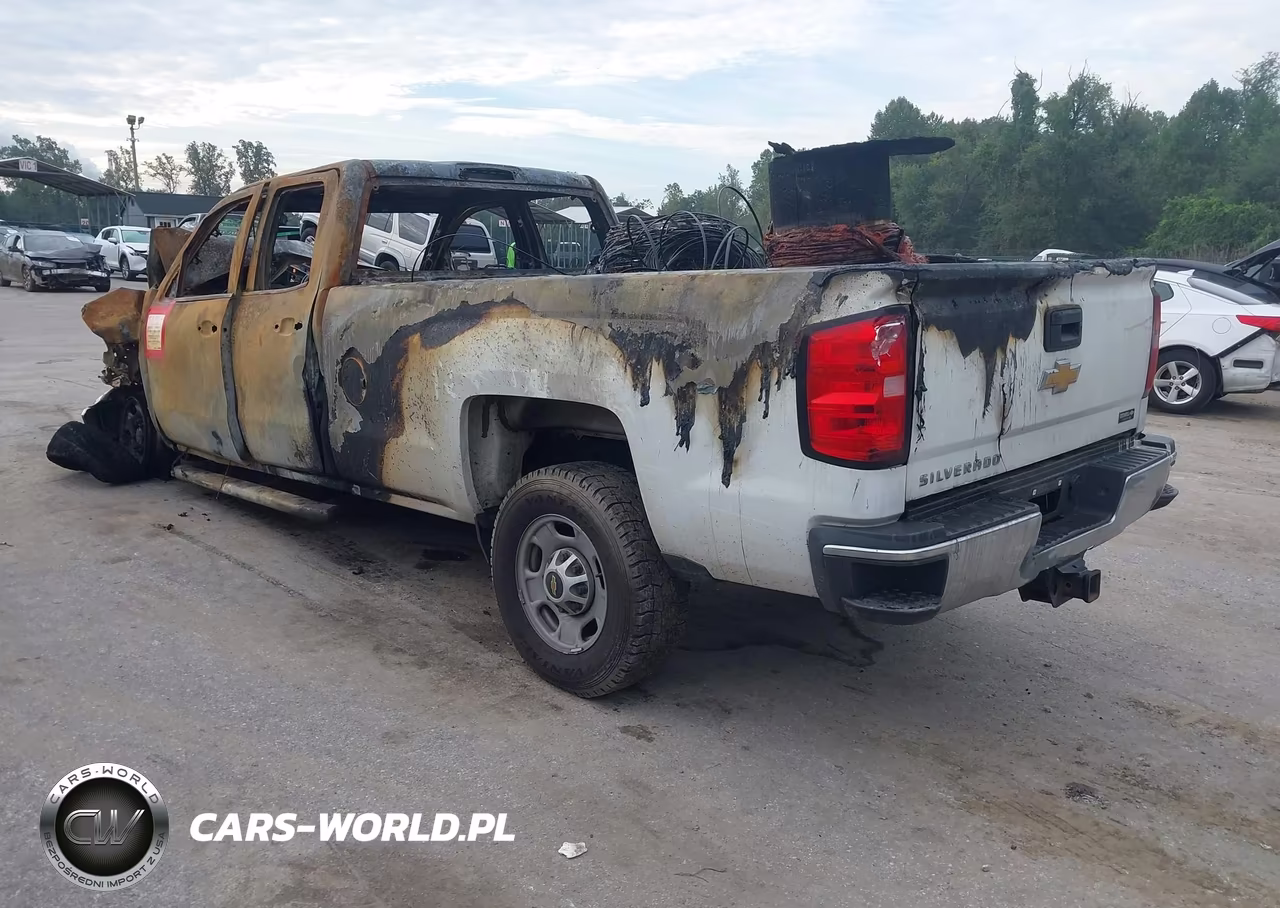 2019 Chevrolet Silverado 2500Hd Wt VIN:2GC2KREG8K1151334 - 3