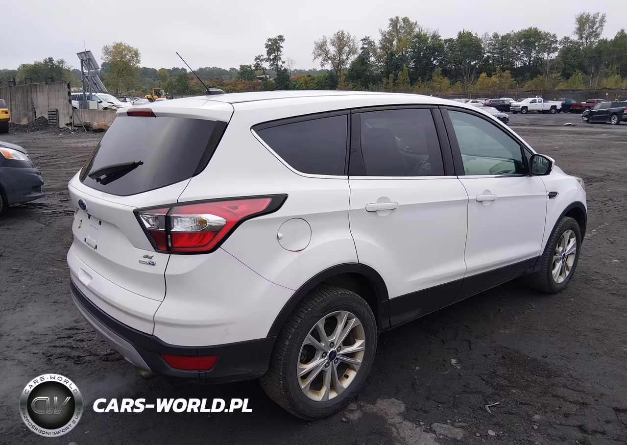 2017 Ford Escape Se VIN:1FMCU9GD2HUC41038 - 4