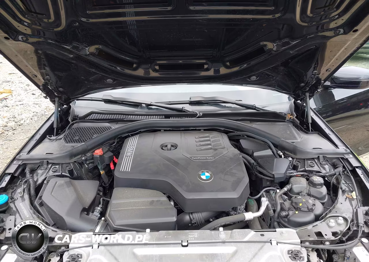 2023 BMW 330I xDrive VIN:3MW89FF02P8D04642 - 10