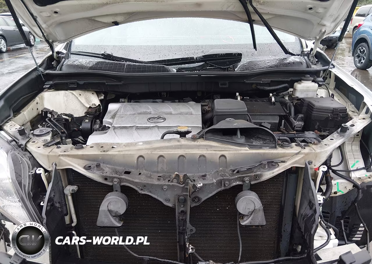 2012 Lexus Rx 350 VIN:2T2BK1BA8CC138910 - 10