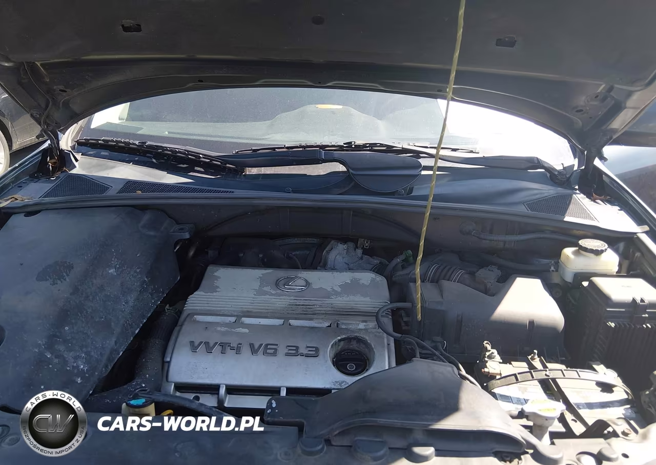 2005 Lexus Rx 330 VIN:2T2HA31U85C044288 - 10