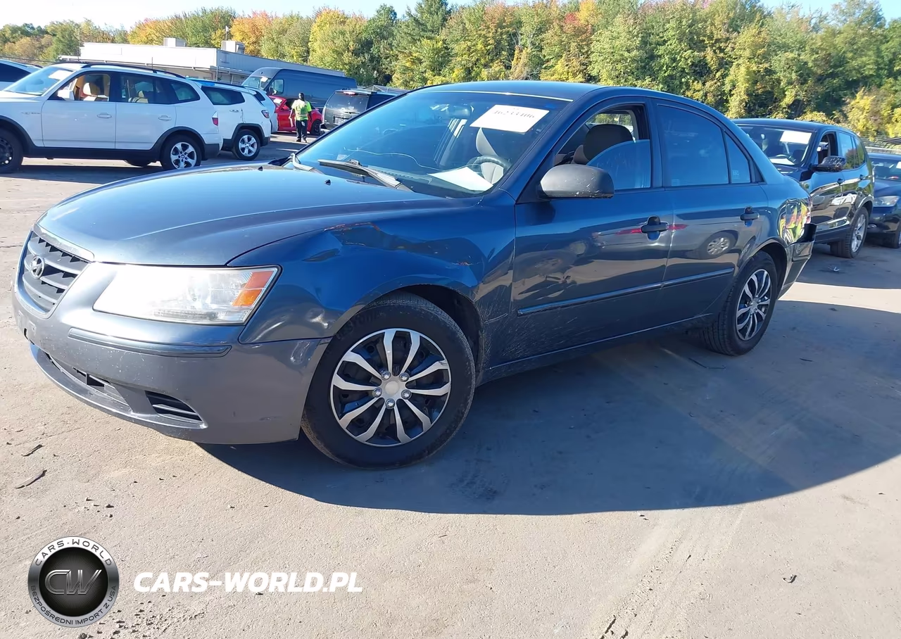 2010 Hyundai Sonata Gls VIN:5NPET4AC5AH614110 - 2
