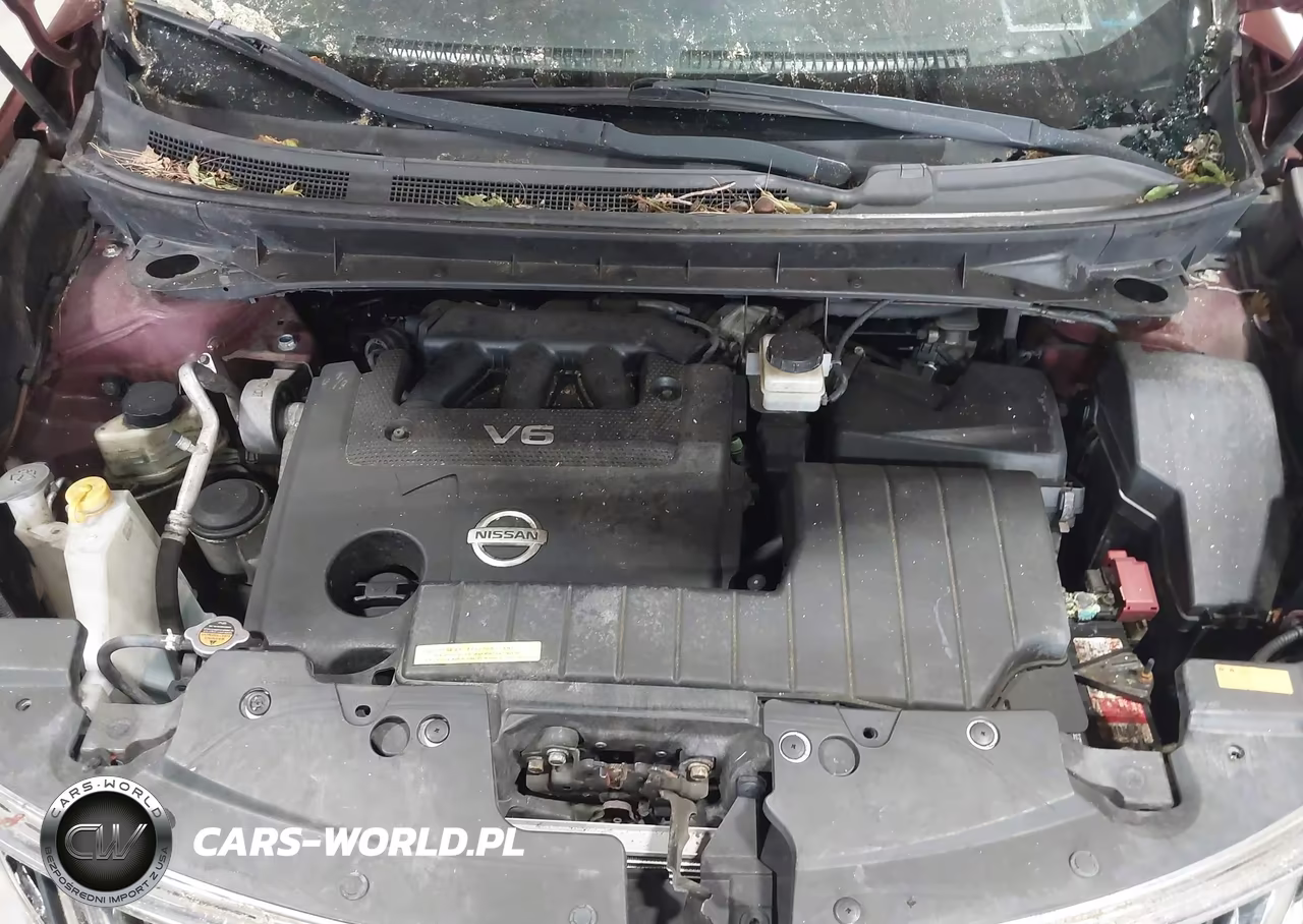 2009 Nissan Murano Le VIN:JN8AZ18W69W151934 - 10