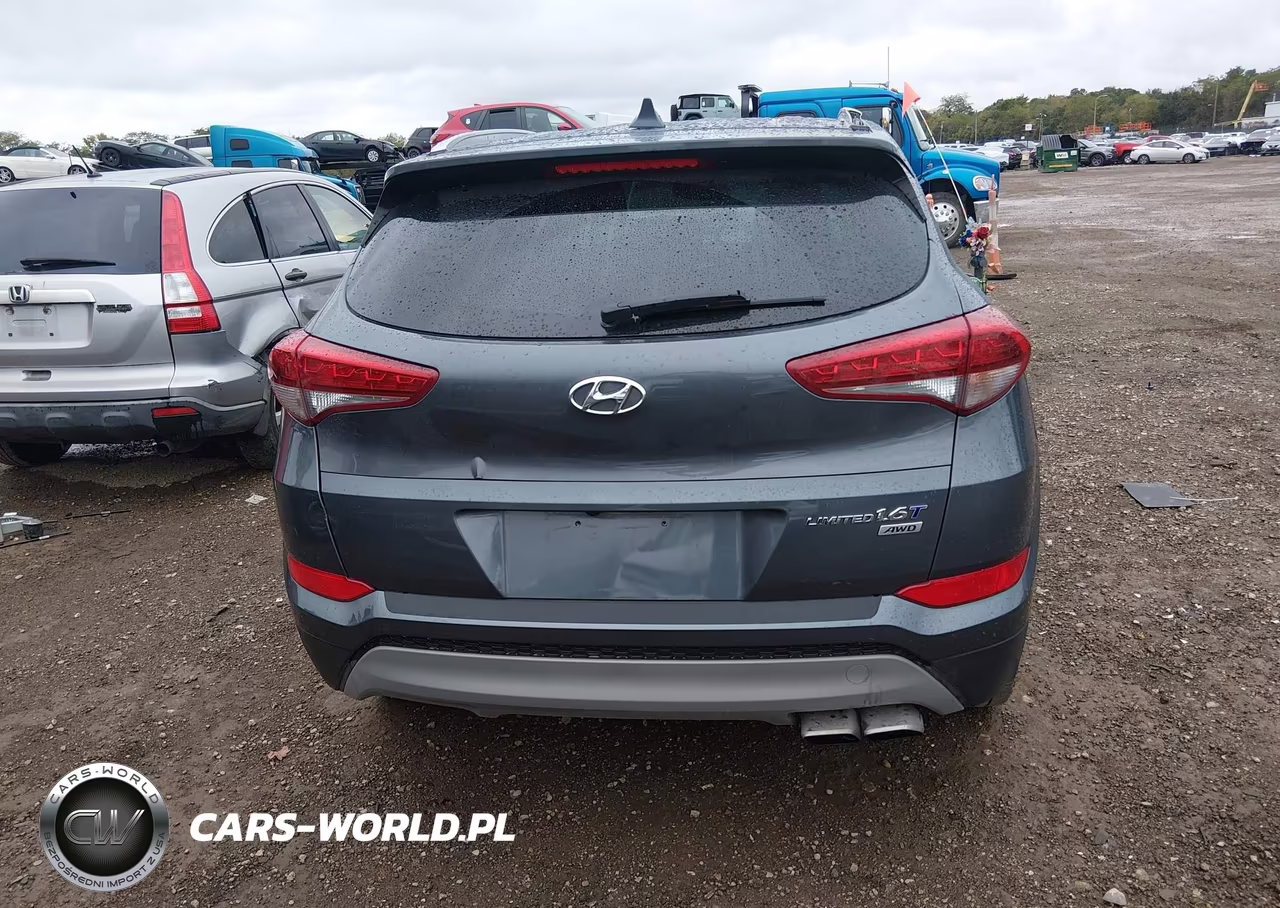 2017 Hyundai Tucson Limited VIN:KM8J3CA29HU337764 - 17