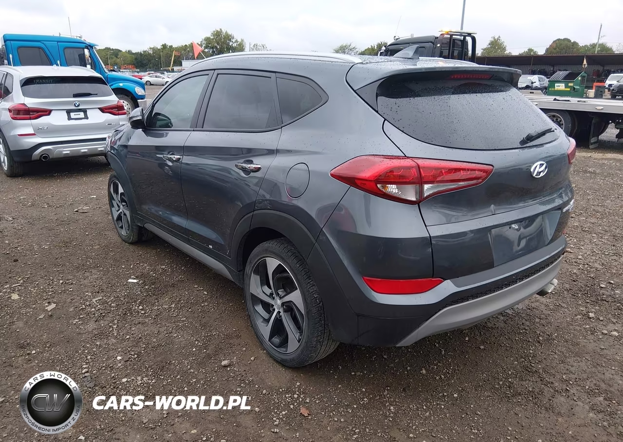 2017 Hyundai Tucson Limited VIN:KM8J3CA29HU337764 - 3