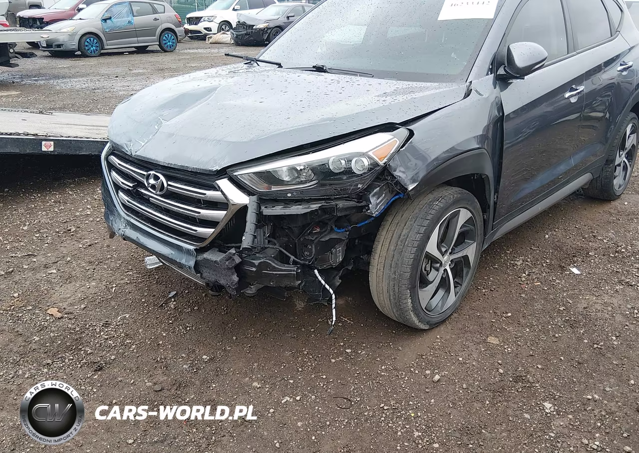 2017 Hyundai Tucson Limited VIN:KM8J3CA29HU337764 - 6