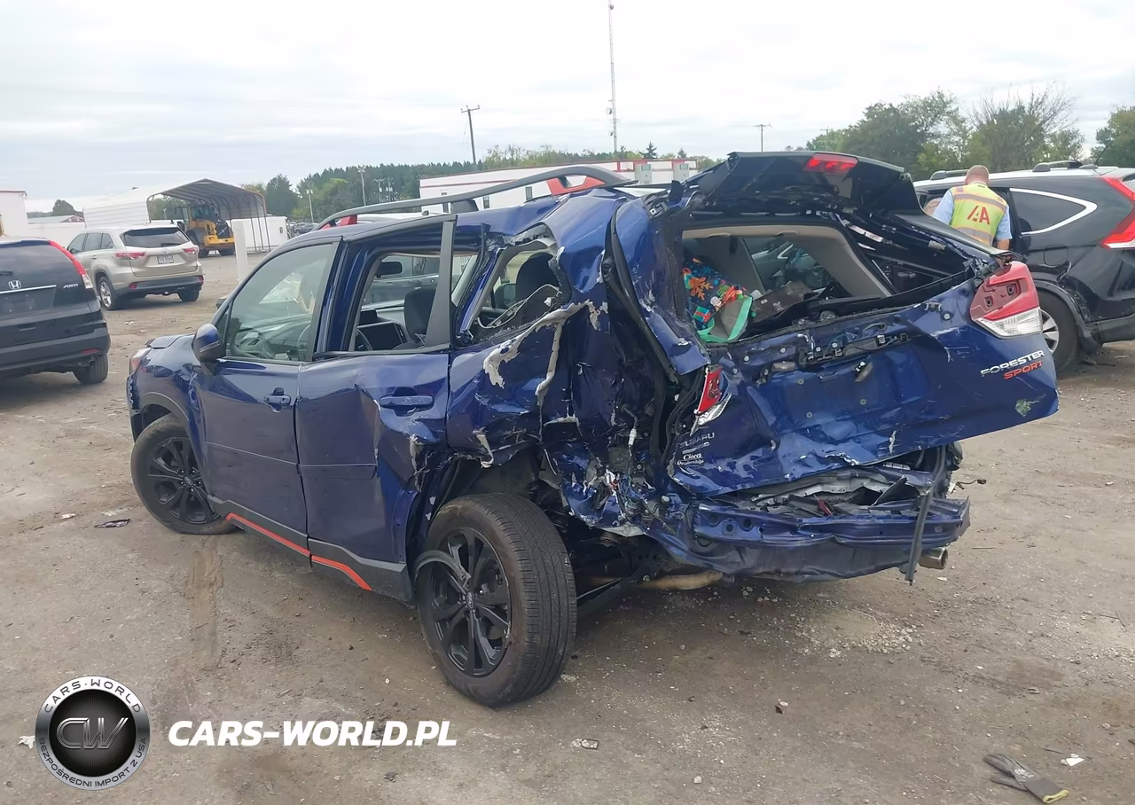 2023 Subaru Forester Sport VIN:JF2SKAJC1PH544893 - 3