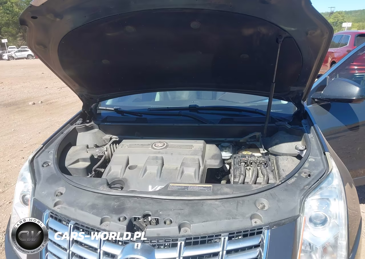 2015 Cadillac Srx Luxury Collection VIN:3GYFNBE33FS559581 - 10
