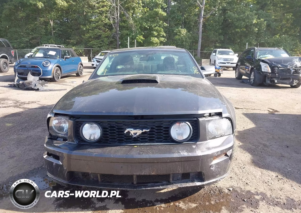 2007 Ford Mustang Gt Deluxe-Gt Premium VIN:1ZVHT82H875235865 - 12