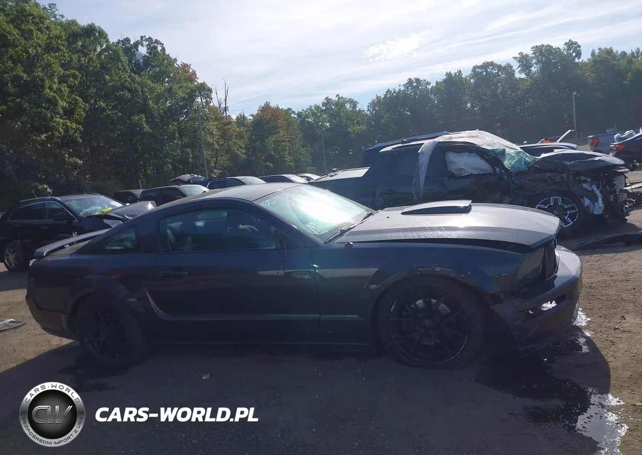 2007 Ford Mustang Gt Deluxe-Gt Premium VIN:1ZVHT82H875235865 - 13