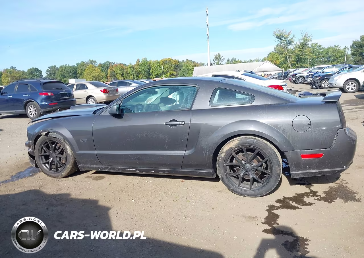 2007 Ford Mustang Gt Deluxe-Gt Premium VIN:1ZVHT82H875235865 - 14