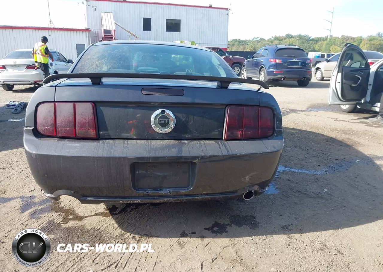2007 Ford Mustang Gt Deluxe-Gt Premium VIN:1ZVHT82H875235865 - 16